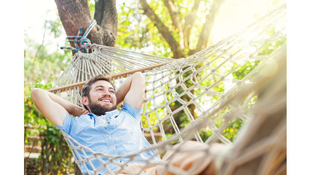 Thanks to This Hammock Every Single Break in the Office Can Be Much More  Relaxing Than a Nap on the Couch